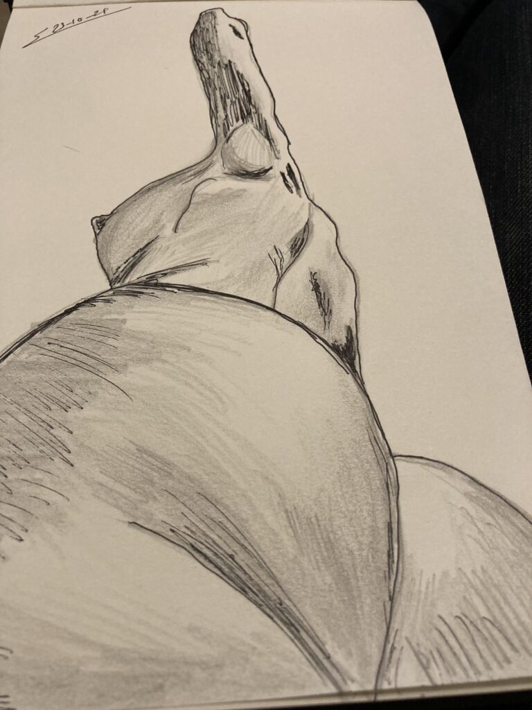 20211023 172055163 ios